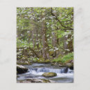 Recherche de dogwood cartes postales Tennessee