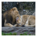 Recherche de love posters Amoureux des chats