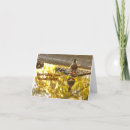 Suche nach gerade karten Fotografie