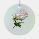 Suche nach knospen ornamente Rosa