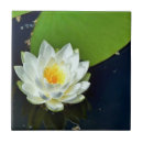 Suche nach water fliesen Natur