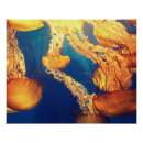 Recherche de aquatique posters Animaux aquatiques