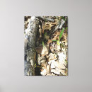 Recherche de timbre de nature posters Photographie