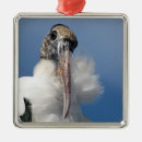Recherche de animaux premium ornements Oiseau