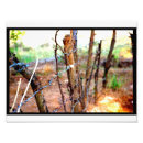 Recherche de barbelé posters Paysage