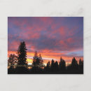 Recherche de prairie photographie Coucher de soleil