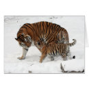 Suche nach tiger baby tiger postkarten Schnee
