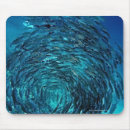 Suche nach malediven mousepads Tier