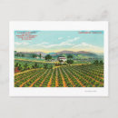 Suche nach weinberge postkarten California