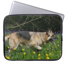 Suche nach schäferhund laptop schutzhüllen Elsässisch