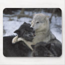Suche nach wilder wolf mousepads Wild lebende tiere