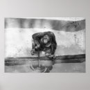 Recherche de se reposer posters Dehors