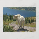 Recherche de nat cartes postales Montagne