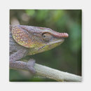 Recherche de blooded magnets Dehors