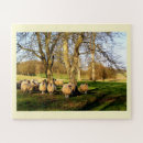 Recherche de moutons puzzles Pour enfants