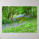 Suche nach blaue glocke poster Bluebells