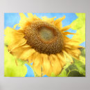 Suche nach wasser poster Blumenreich