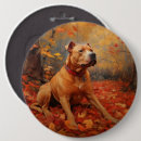 Recherche de pitbull badges Dog