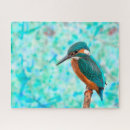 Recherche de martin pêcheur puzzles Animaux