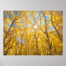 Suche nach franken poster Wälder