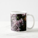 Recherche de seringue tasses Fleurs