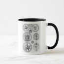 Recherche de épée et bouclier tasses Médiéval