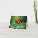 Recherche de ladybug remerciements cartes Insecte