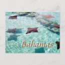 Suche nach steg postkarten Foto