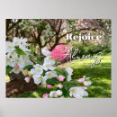 Recherche de arbre de cornouiller Fleurs blanches