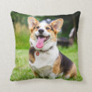 Recherche de dog coussins Animaux de compagnie