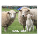 Suche nach schafe kalender Lämmer