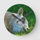 Recherche de mouton drôle horloges Animaux