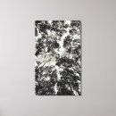 Suche nach abstrakte fotografie leinwandbilder Wald