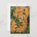 Recherche de rhododendrons Pour tous