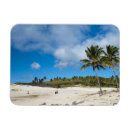 Recherche de polynésie vœux cartes Latin