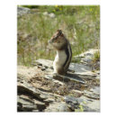 Suche nach praying poster Nature
