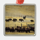 Suche nach bison ornamente Montana
