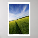 Recherche de préparation posters Nature