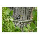 Suche nach audubon karten Natur