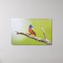 Suche nach texas leinwandbilder Gebiet