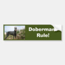 Suche nach pinscher autoaufkleber Welpen