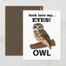 Suche nach eulen postkarten Für sie