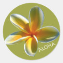 Suche nach plumeria aufkleber Aloha