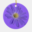 Recherche de fleurs violettes ornements Décorations