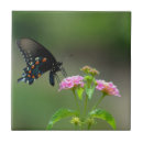 Suche nach wilde blumen fliesen Wild lebende tiere