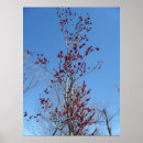 Recherche de arbres colorés posters Paysages