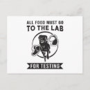 Recherche de chien de laboratoire cartes postales Labrador