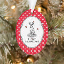 Recherche de chien dalmatien ornements Coeur