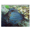 Suche nach freier raum kalender 2015