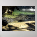 Suche nach krokodile poster Reptilien
